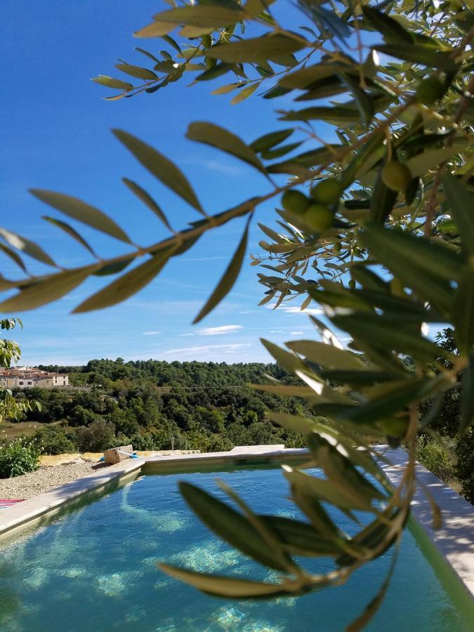 Villa La Campagne Saint Jean Baudinard Esterno foto